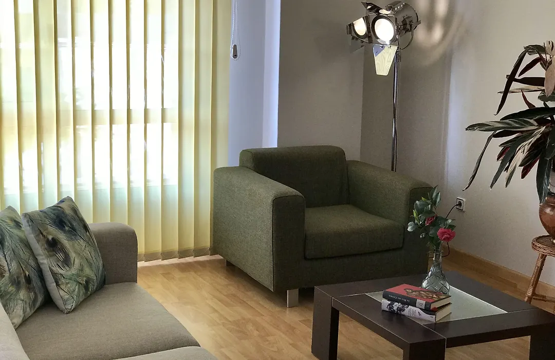 Hotel Nuevo Vichona-1