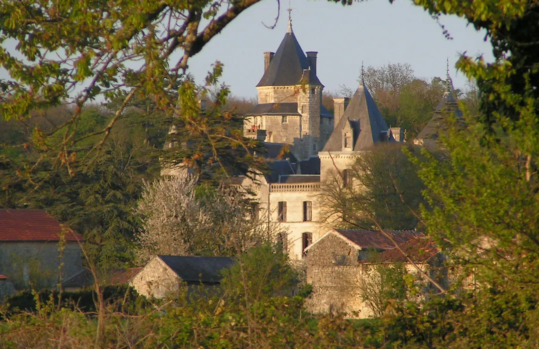 Château de Ternay-1