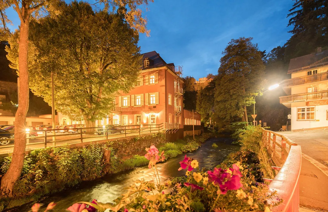 Hotel Hartl's Lindenmühle-1