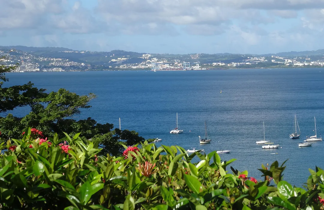Le Panoramic-1
