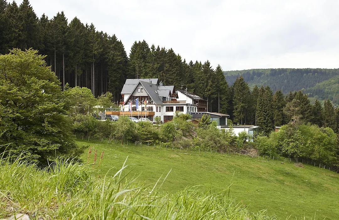 Wald Hotel Willingen-1