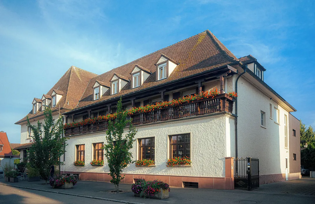 Hotel Au Nid De Cigognes-1