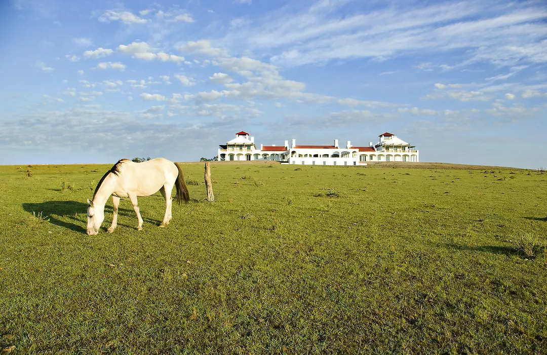 Estancia VIK José Ignacio-1