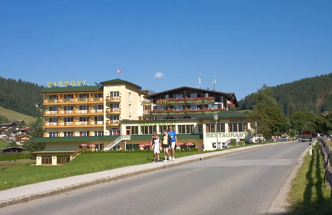Hotel Harfenwirt-1