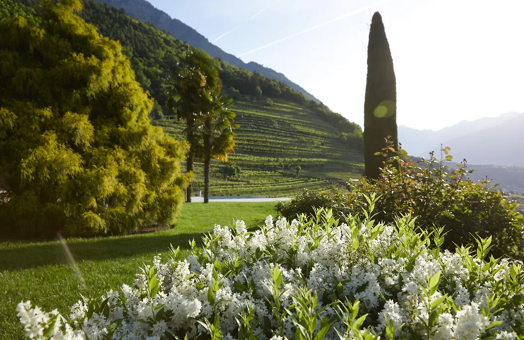 Schloss Plars wine&suites-1