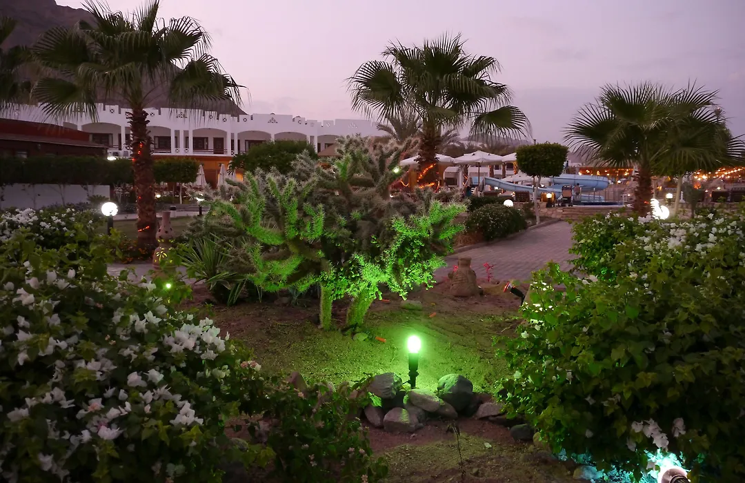 Happy Life Village Dahab-1