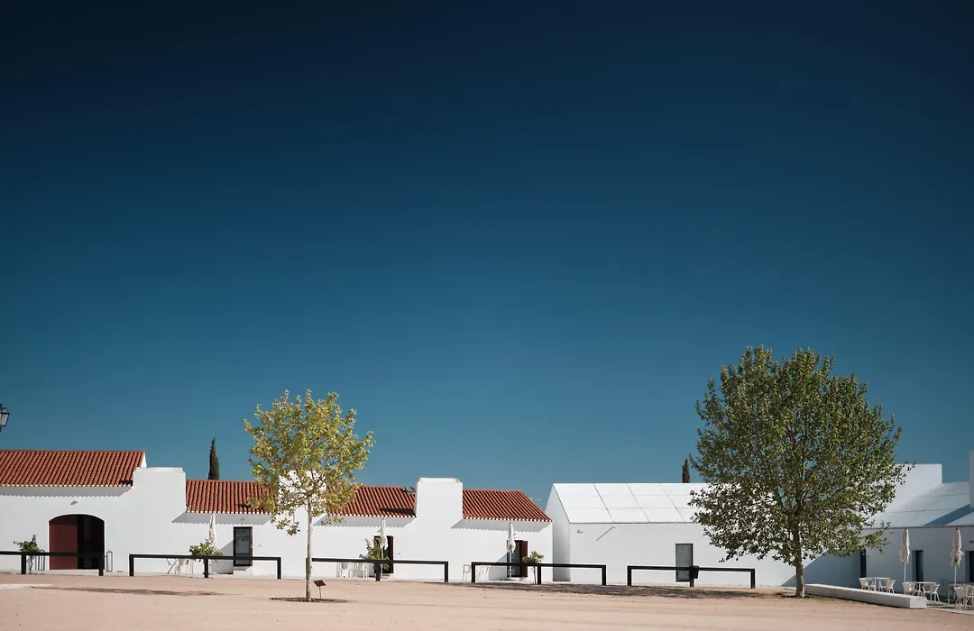 Torre De Palma Wine Hotel, Monforte, A Member Of Design Hotels-1
