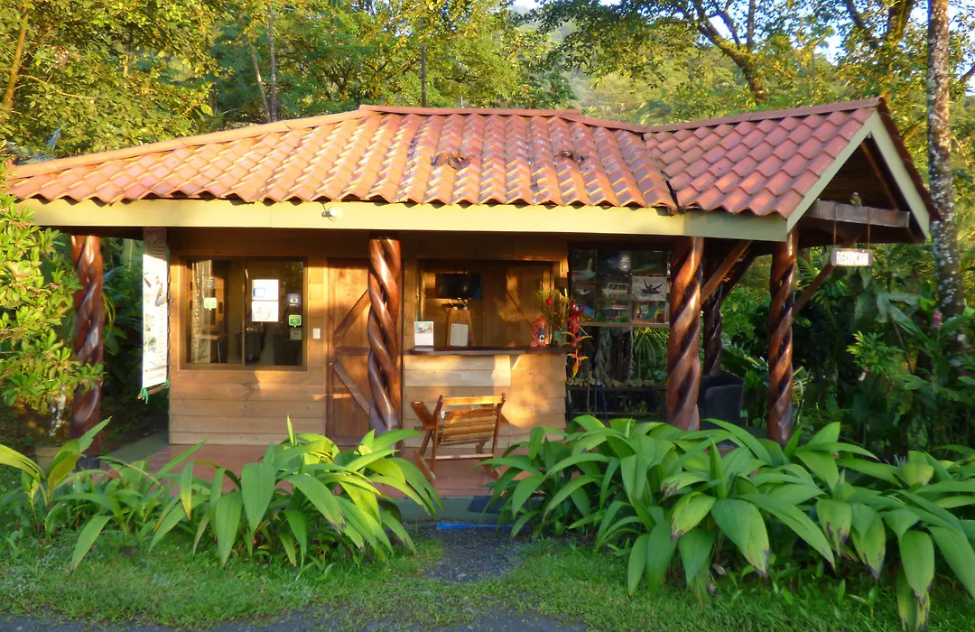 Hotel Catarata Rio Celeste-1
