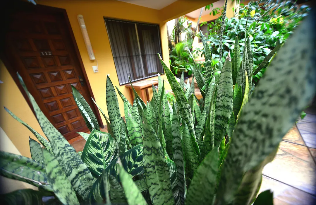 Hotel Lilian-1