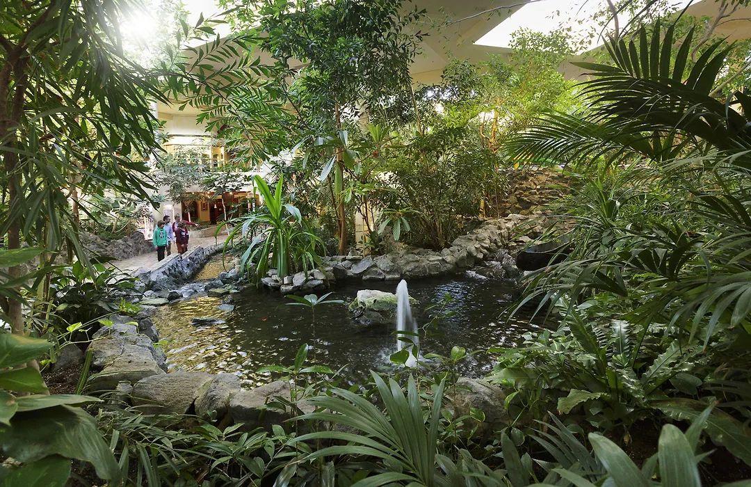 Center Parcs Sauerland Winterberg-Medebach-1