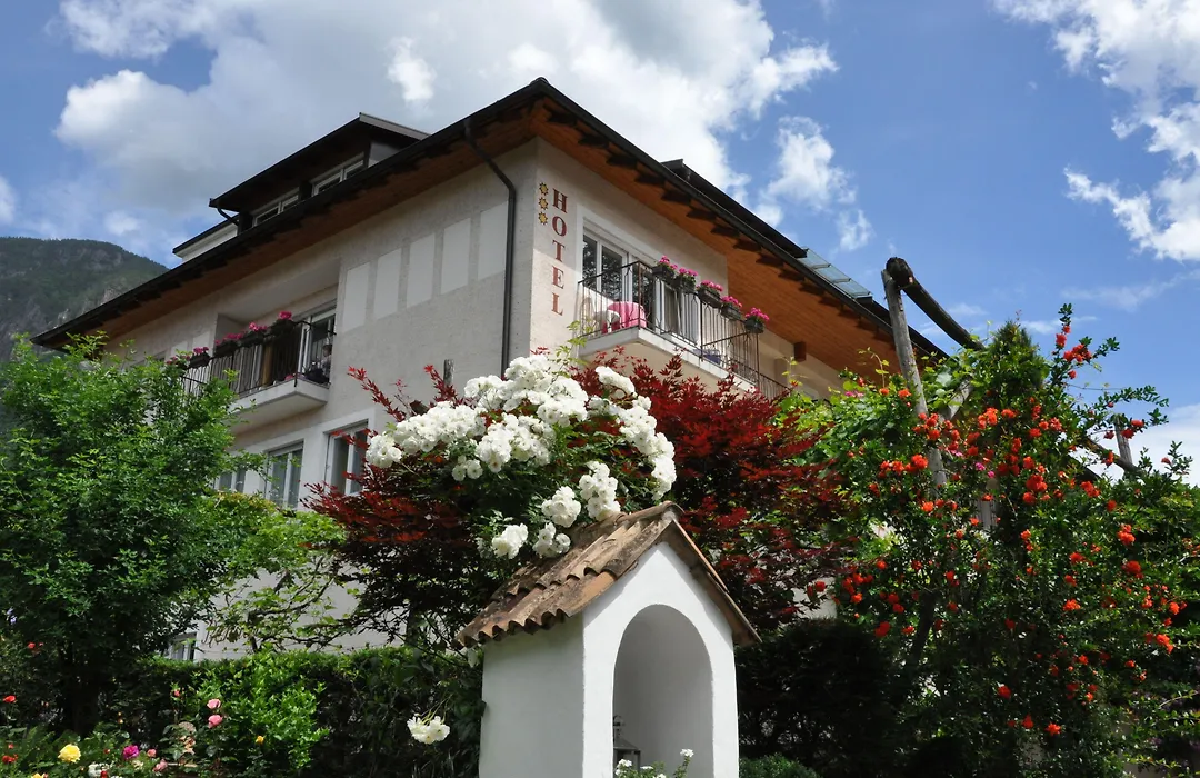 Hotel Weingarten-1