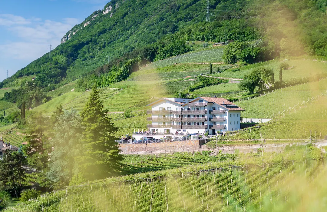 Residence Garni Hotel Vineus-1