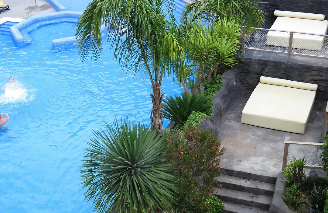 Hotel Papi-1