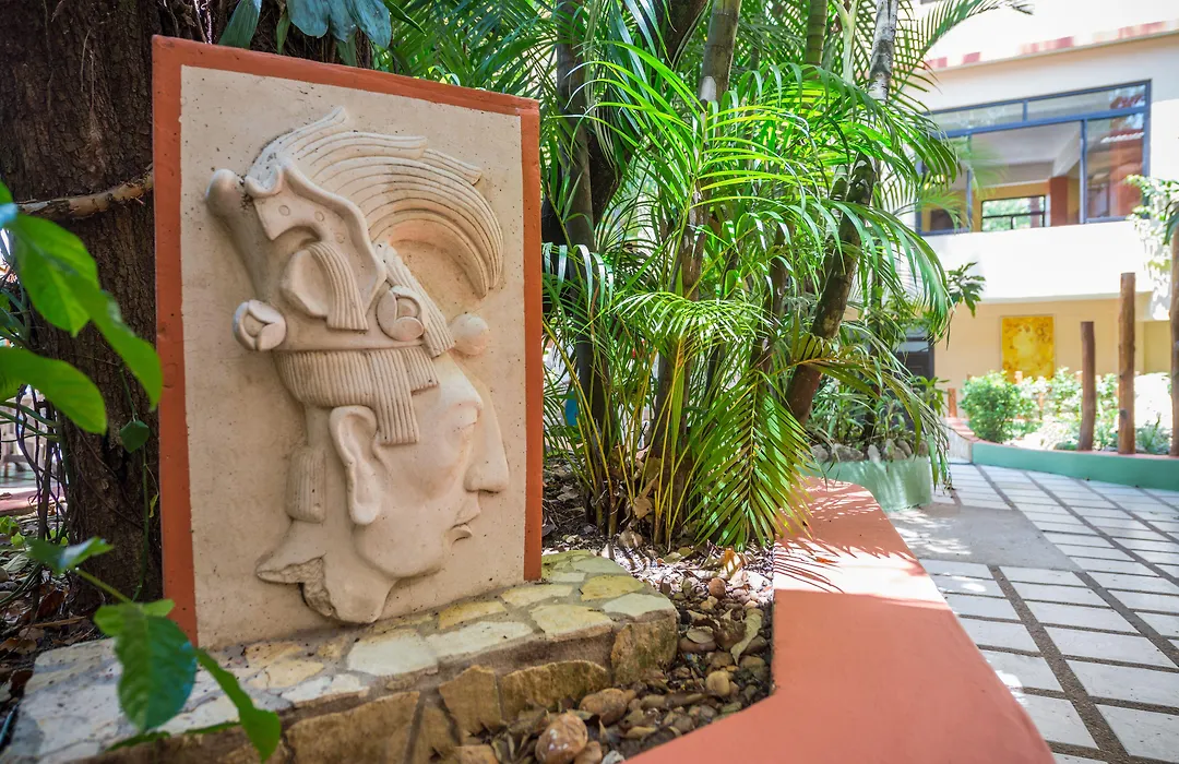 Maya Tulipanes Express-1