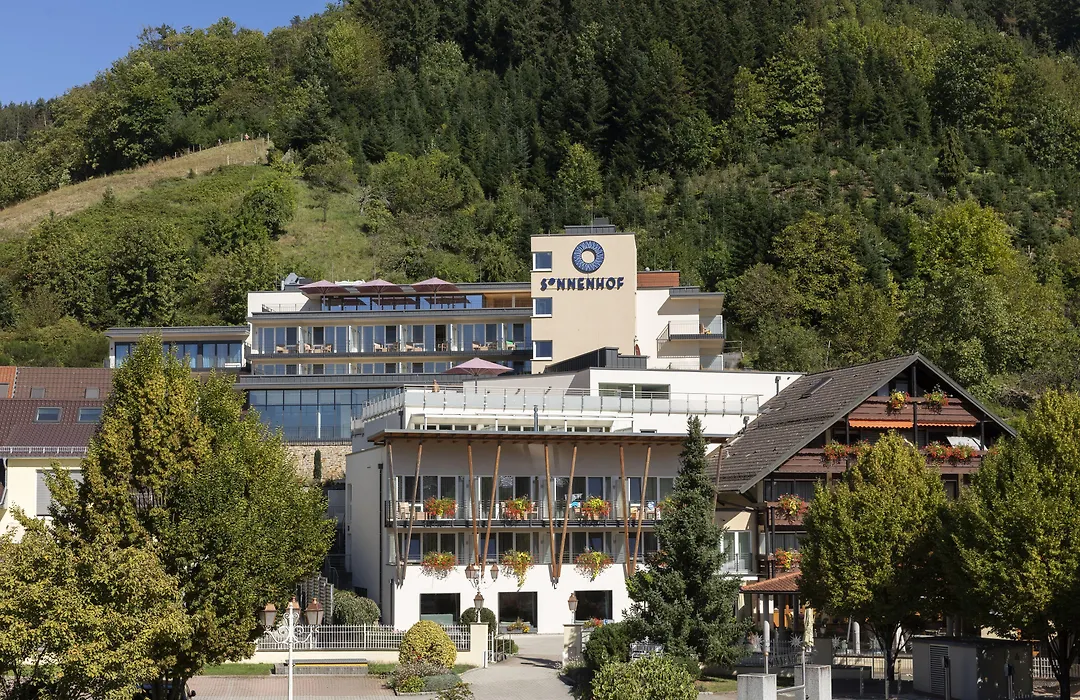 Hotel Sonnenhof-1