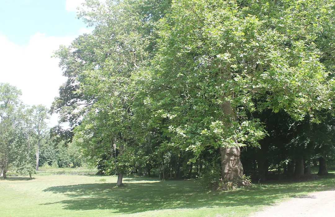 Domaine du Plessis-1