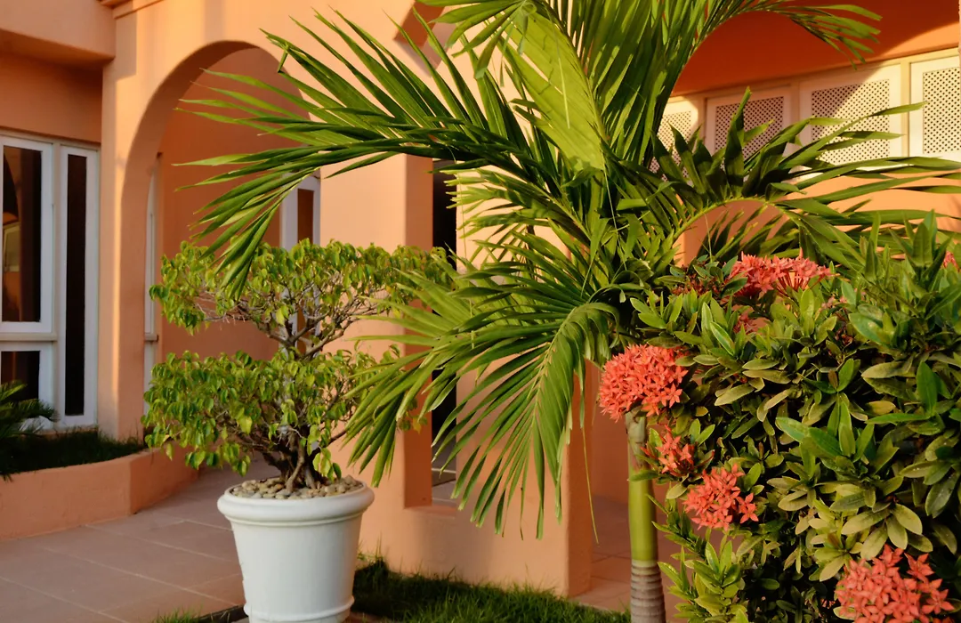 Hotel Terra do Sol-1