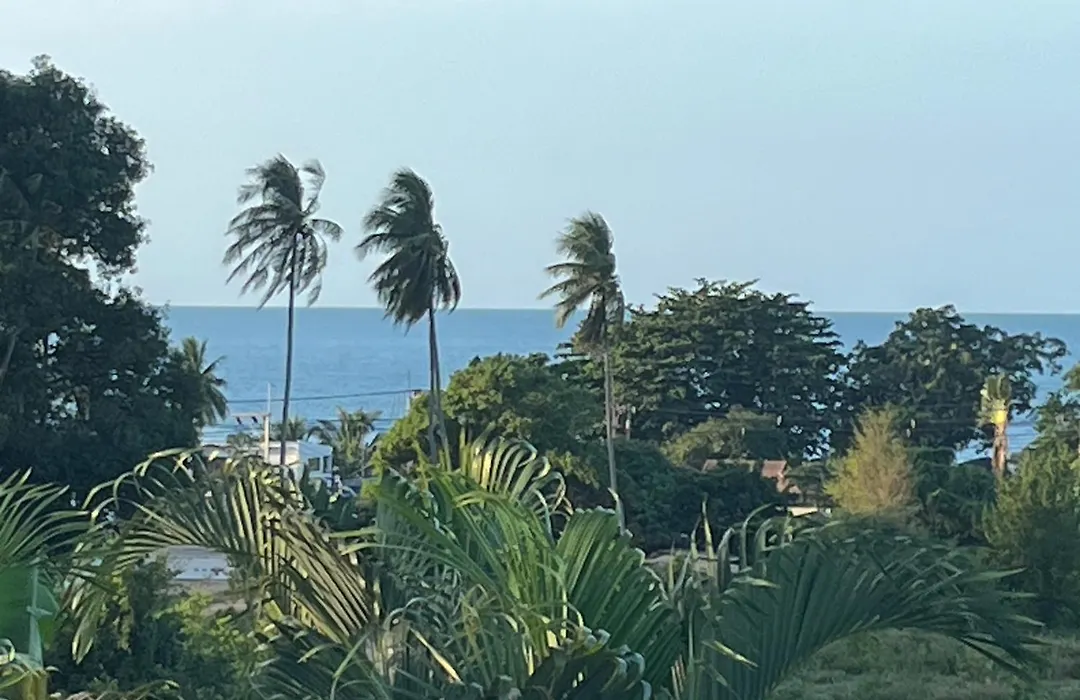 Pink House Guest House Lamai - Pool & Sea View-1