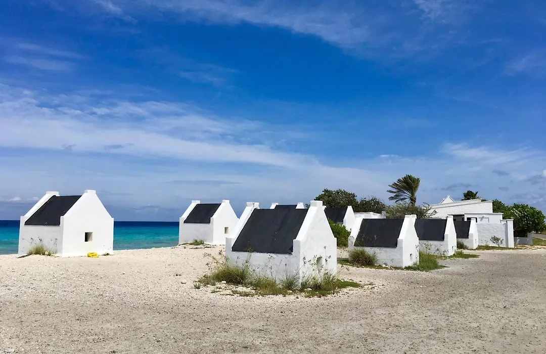 Delfins Beach Resort Bonaire, Tapestry Collection By Hilton-1