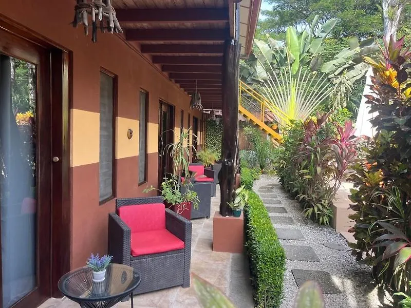 Samara Palm Lodge-1