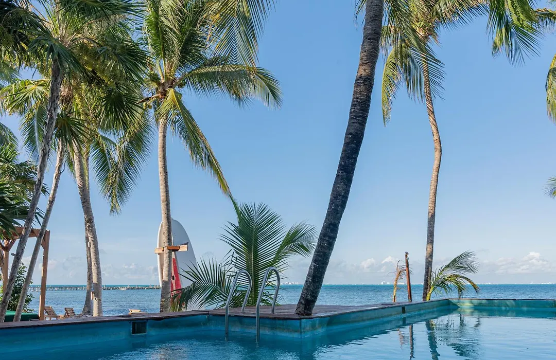 Mayan Monkey Isla Mujeres - Social Hotel (Adults Only)-1