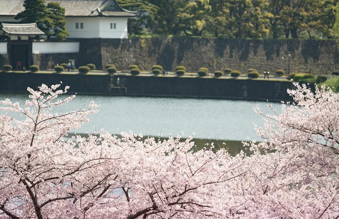 Shangri-La Tokyo-1