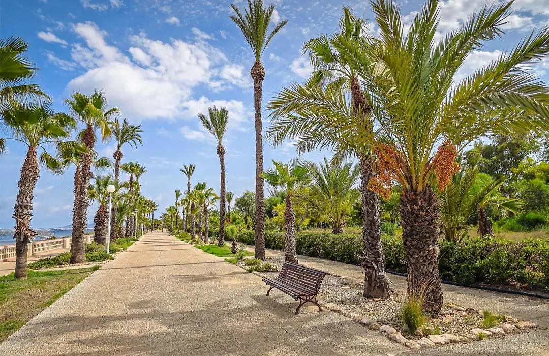 Occidental Mar Menor-1
