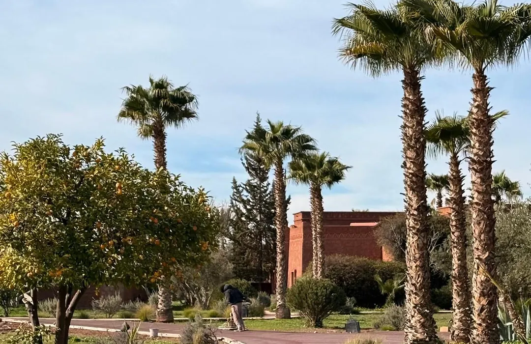 Les Jardins De Marrakech-1