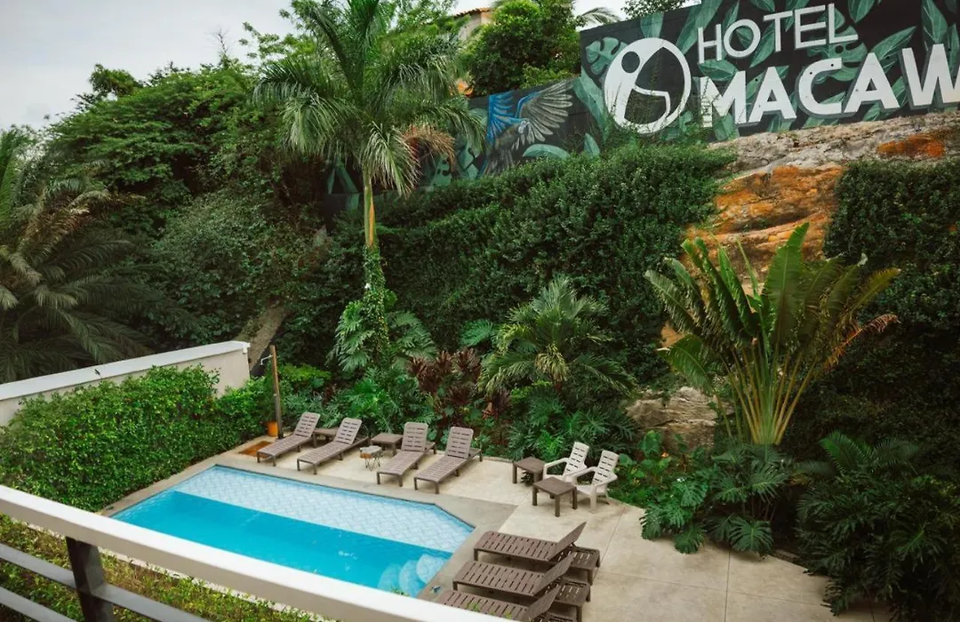 Hotel Macaw Cúcuta-1