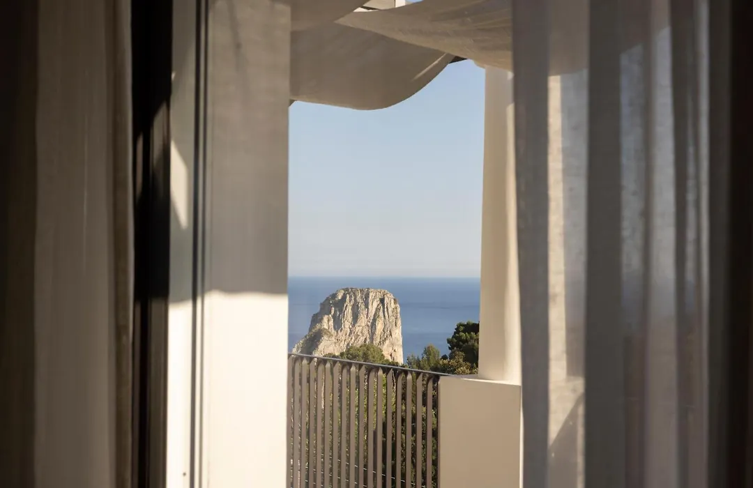 Villa Certosa Boutique Hotel Capri-1