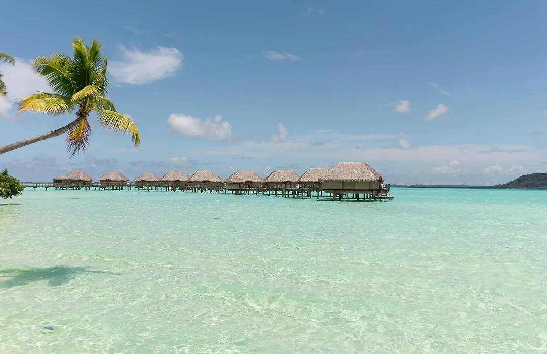 Le Taha'A By Pearl Resorts-1
