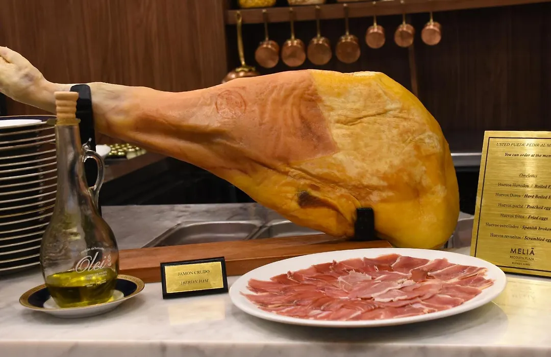 Melia Recoleta Plaza Hotel-1