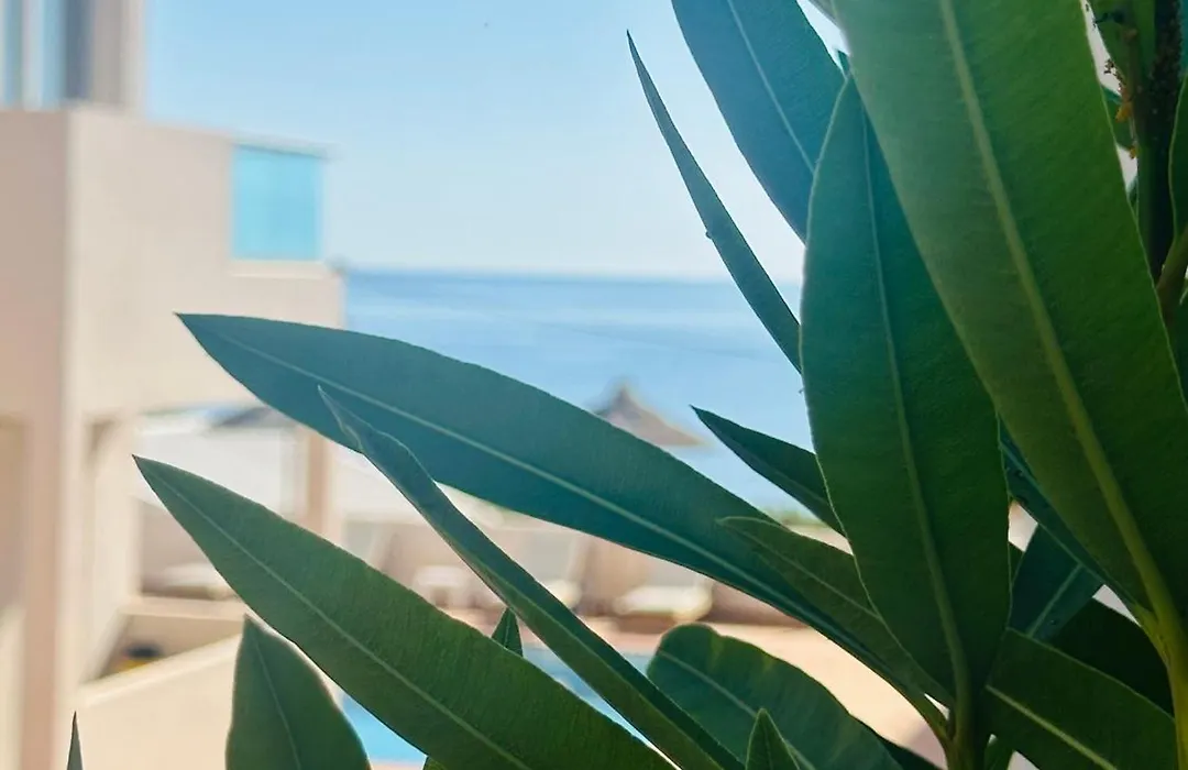 Saradari Beach Hotel - Adults Only-1