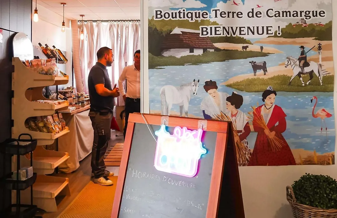 Ibis Budget Arles Palais Des Congres-1
