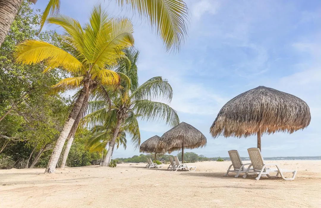 Decameron Baru-1