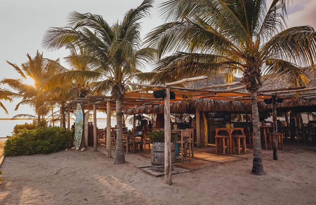 Chogogo Dive & Beach Resort Bonaire-1