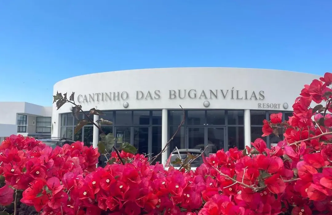 Cantinho Das Buganvilias At****-1