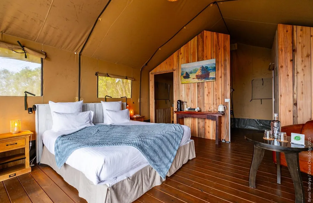 Hôtel Diana Dea Lodge&SPA-1