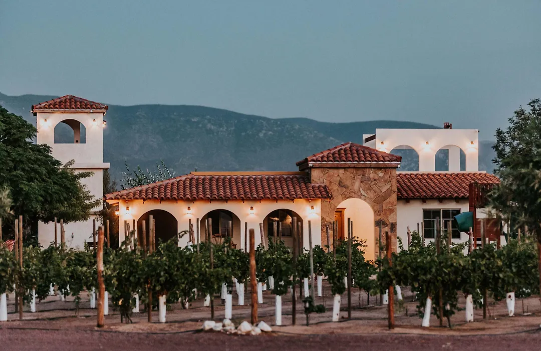 Hacienda Los Olivos, Valle de Guadalupe-1