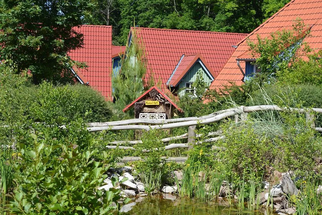 Hasseröder Ferienpark-1