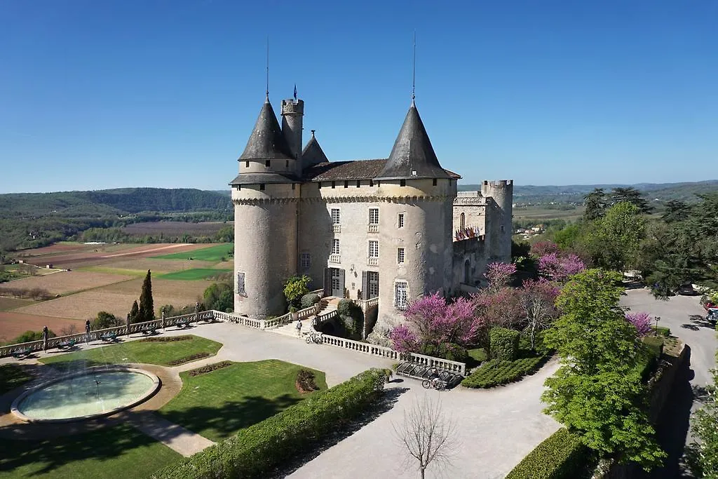 Chateau De Mercues-1