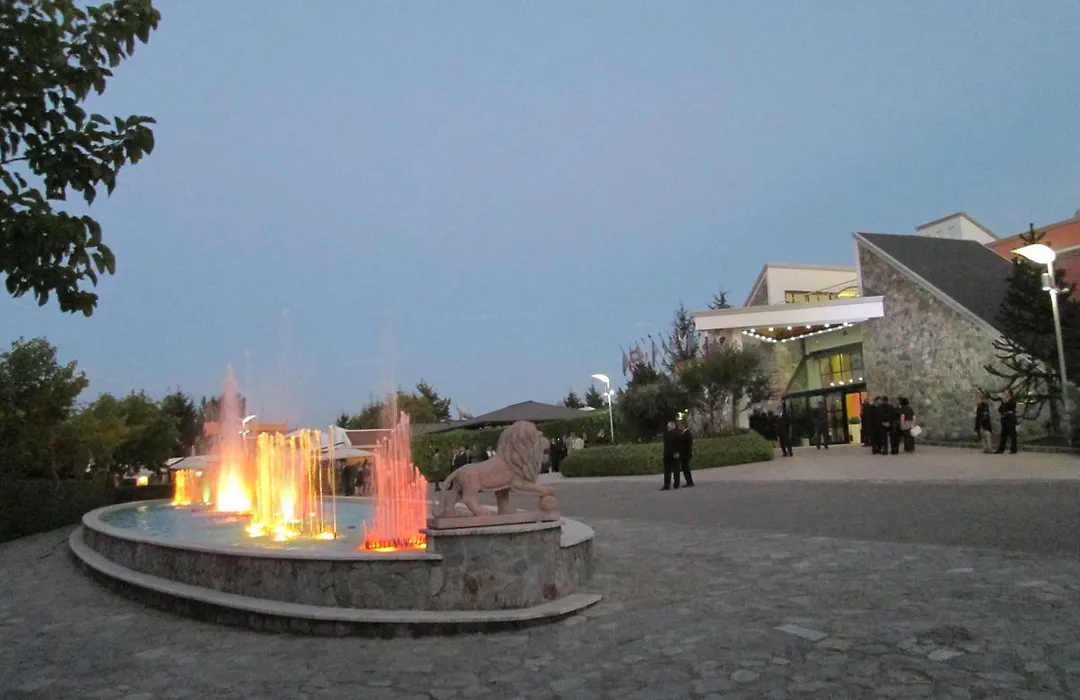 Palahotel Vallenoce-1