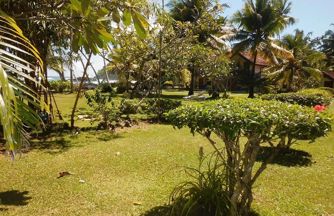 Paradise Beach Club-1