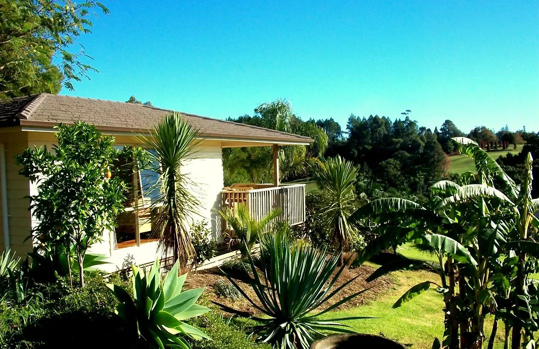 Avalon Resort-1
