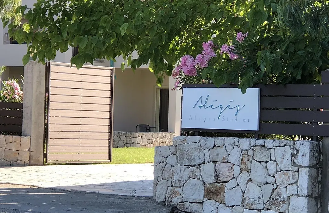 Aligis Studios-1