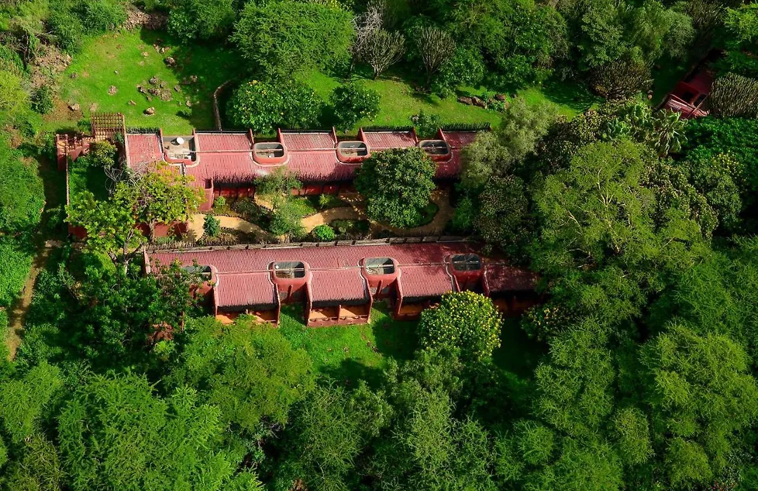 Amboseli Serena Safari Lodge-1