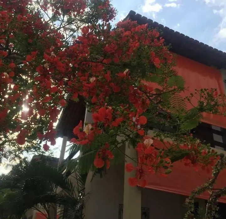 Pousada das Seriemas-1