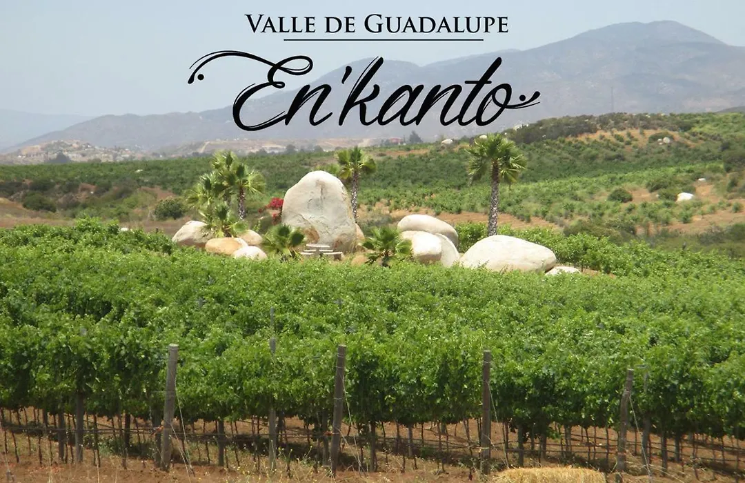En'Kanto Valle De Guadalupe-1