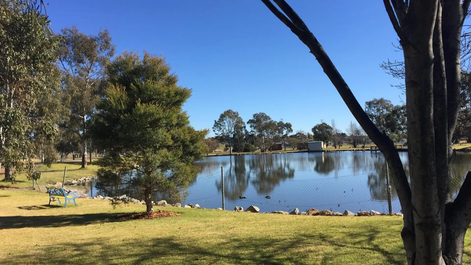Junee Tourist Park