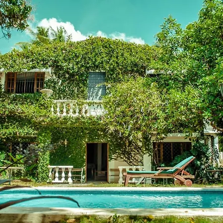 Villa Carolina Bed And Breakfast-2